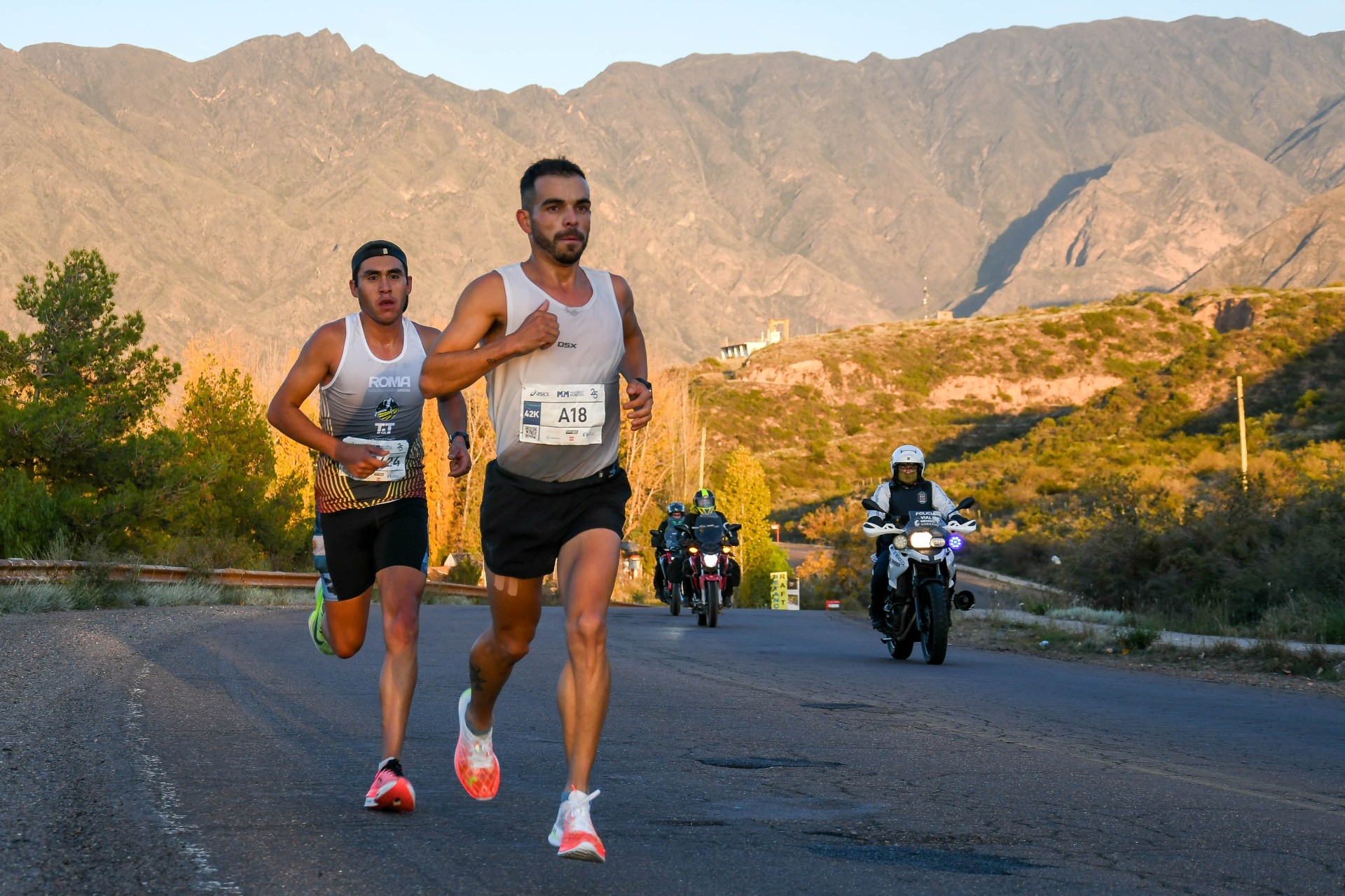 Maratona Internacional de Mendoza 2027 em Mendoza, Argentina — foto 4 da galeria