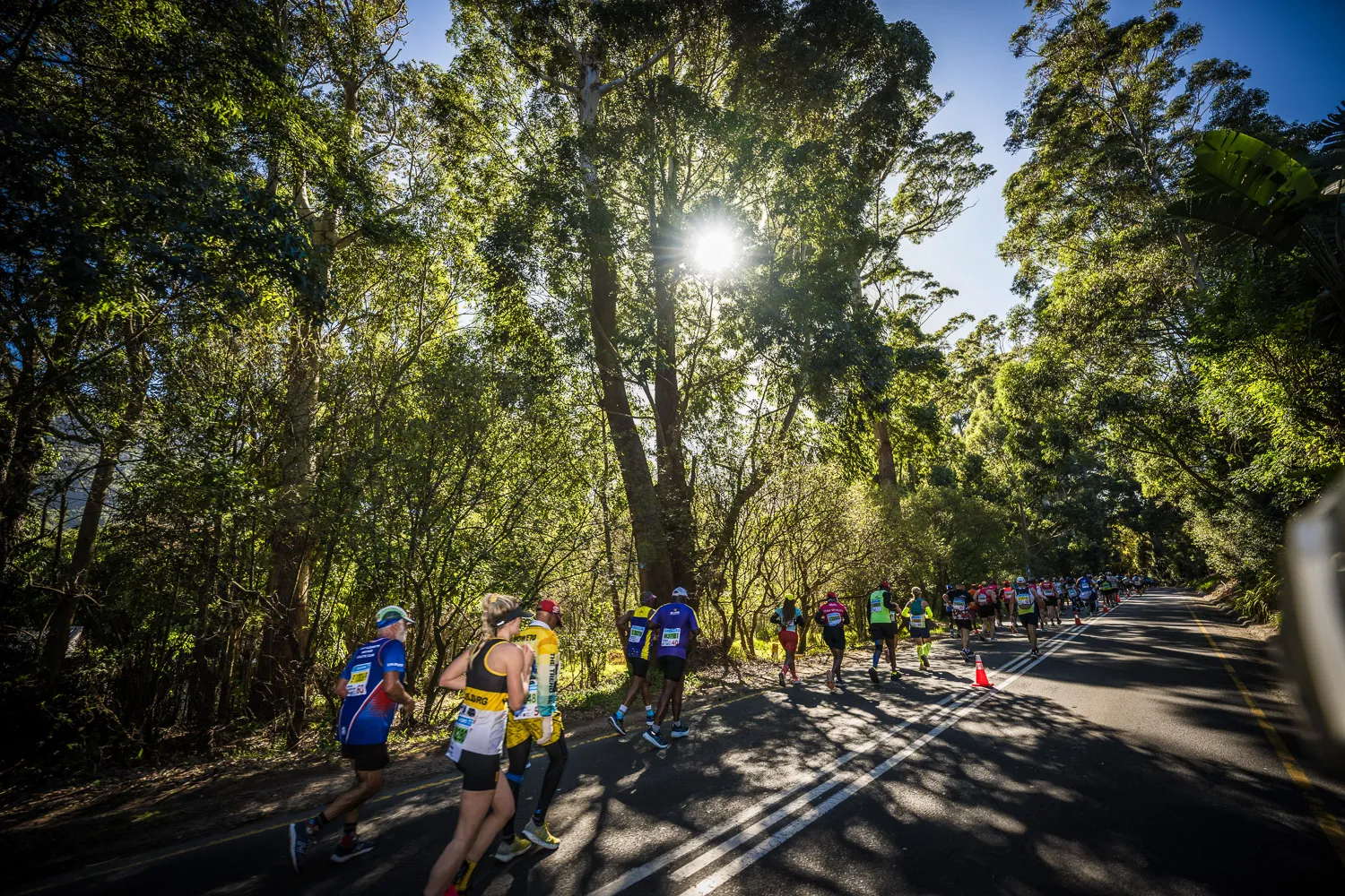 Maratona Totalsports Two Oceans 2027 em Cidade do Cabo, África do Sul — foto 5 da galeria