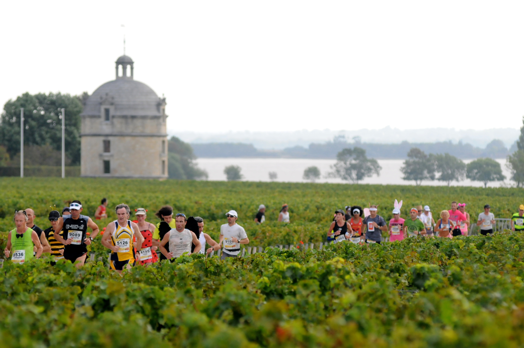 Marathon Des Châteaux Du Médoc 2027 em Pauillac, França — foto 4 da galeria